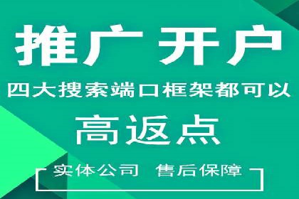 解析百度竞价推广公司经典案例：精准营销的秘诀